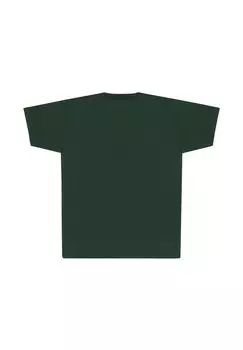 Принт на футболке Nintendo Legend Of Zelda Link Pose Henry Tiger, темно-зеленый