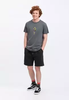 Принт на футболке POMION KAFT, сине-серый