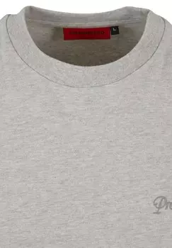 Принт на футболке PROHIBITED, серый