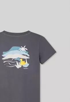 Принт на футболке Rence Pepe Jeans, серый