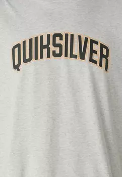Принт на футболке SCHOLARSHIP SS Quiksilver, серый