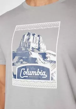 Принт на футболке SEASONAL LOGO TEE Columbia, серый
