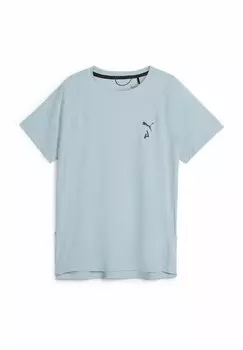Принт на футболке Seasons Puma, синий