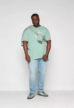 Принт на футболке TEE SHORT SLEEVE Ralph Lauren, мята
