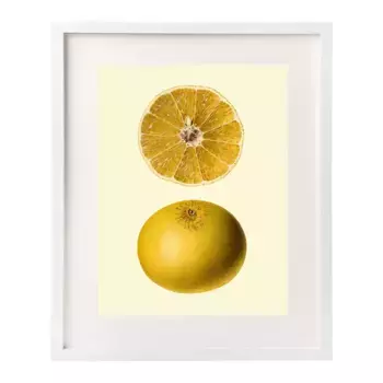 Принт «Оранжевые фрукты» The Dybahl + Фоторамка с ковриком «Тор» El Corte Ingls, белый