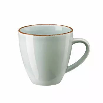Профессиональная кружка Casual Mint с ручкой 0,35 л Rosenthal, синий