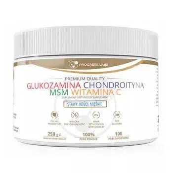 Progress Labs, Глюкозамин Хондроитин МСМ Витамин С 250 г