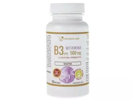 Progress Labs, Ниацин Витамин B3 (PP) 500мг + 60 капсул