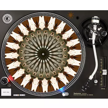 Проигрыватель Sunshine Design sdoslipmat