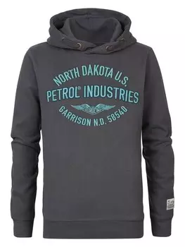 Произведение искусства толстовка Шаумбург для мальчиков серая Petrol Industries, серый