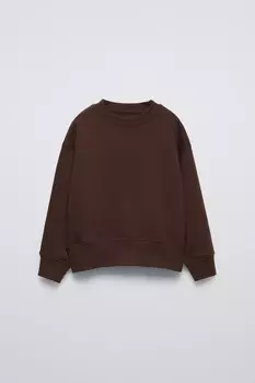 Простая толстовка ZARA, коричневый