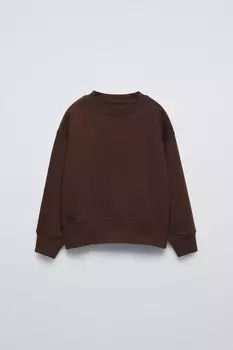 Простая толстовка ZARA, коричневый
