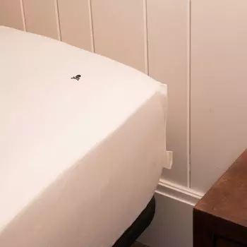 Простыня Haze Home плотностью 140 ниток на основе перкаля и хлопка Scalpers, естественный