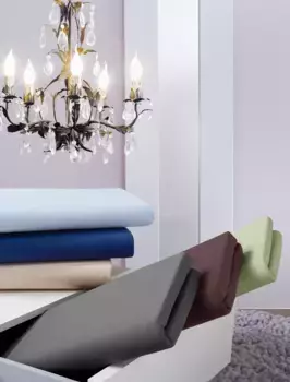 Простыня Irisette "Royal 3" 100х200 см, 1 шт., цвет schoko