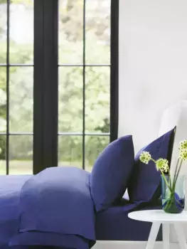 Простыня Jasper Conran London 300 Thread Count Organic Cotton Percale Flat, цвет royal/blue