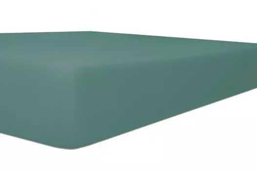 Простыня на коленях высотой до 30 см EASY-Stretch Q25 от 120x200 до 130x220 см 120x200++ Kneer, зеленый