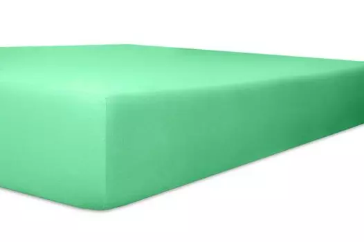 Простыня на коленях высотой до 30 см EASY-Stretch Q25 от 120x200 до 130x220 см 120x200++ Kneer, зеленый