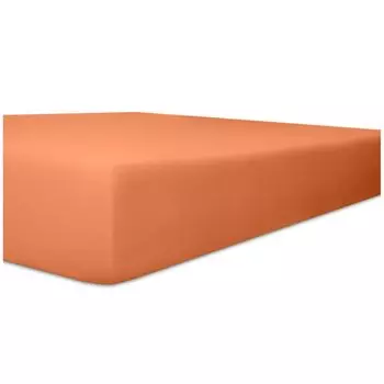 Простыня на подгонке Kneer Vario-Stretch oneflex для топпера 4-12 см высота качество 22 цвета карамель 200х200 см Wschefabrik Kneer e.K.