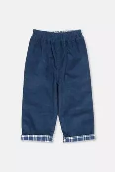 Проверьте подтягивания Kite, мультиколор