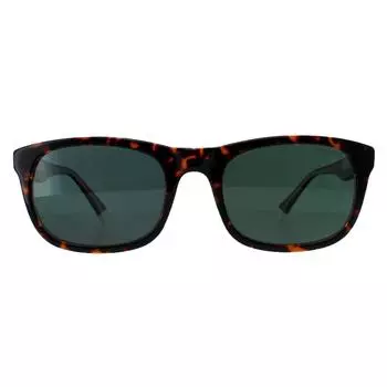 Прямоугольник Гавана Зеленый Поляризованный PLD 2104/S/X Polaroid, коричневый