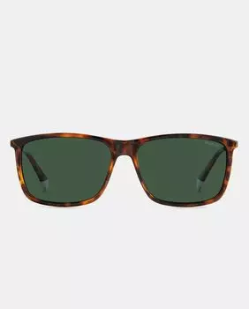 Прямоугольные мужские солнцезащитные очки цвета гавана с поляризационными линзами Polaroid, коричневый