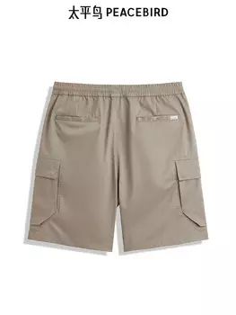 Прямые мужские Peacebird повседневные, хаки