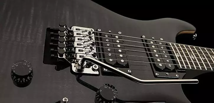 PRS SE “Floyd” Custom 24 2022 Темно-серый