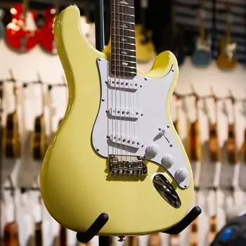 PRS SE Silver Sky - Moon White с сумкой для переноски