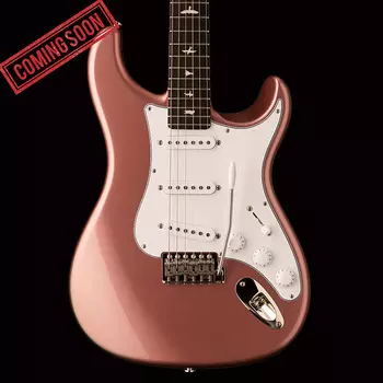 PRS Silver Sky - Полуночная роза PRS Silver Sky - Midnight Rose