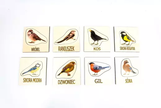 Птицы, зимующие птицы, виды птиц Inna marka