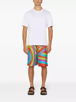 PUCCI шорты с принтом Iride, зеленый