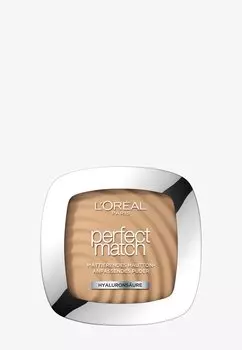 Пудра PERFECT MATCH POWDER L'Oreal, цвет 5w golden sand