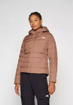 Пуховик ACONCAGUA HOODIE The North Face, бежевый