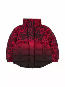Пуховик Animalier Dolce&Gabbana
