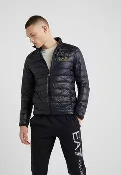 Пуховик EA7 Emporio Armani, пуховик