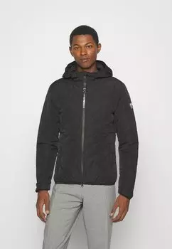 Пуховик КУРТКА EA7 Emporio Armani, черный
