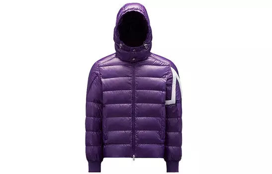 Пуховик мужской фиолетовый Moncler