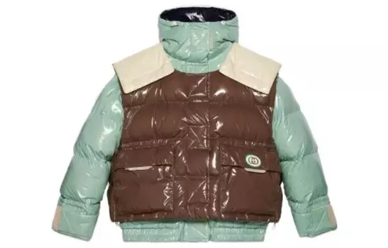 Пуховик мужской многоцветный Gucci, цвет Multicolor