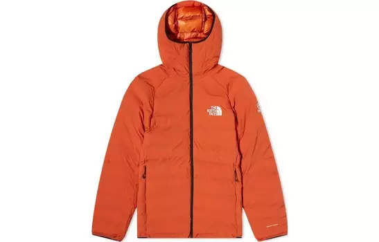 Пуховик мужской оранжевый The North Face, оранжевый