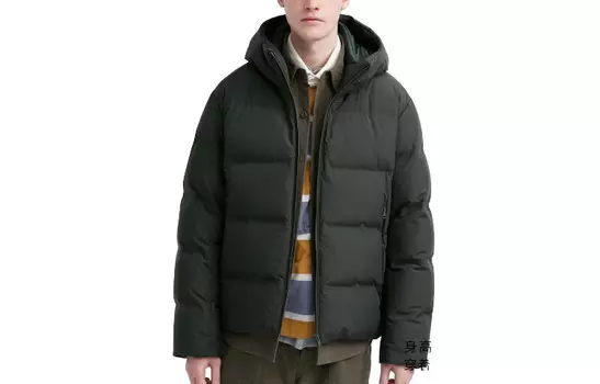 Пуховик мужской Pine Green Uniqlo, зеленый