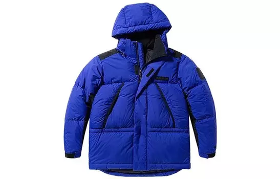 Пуховик мужской ярко-синий Timberland, синий