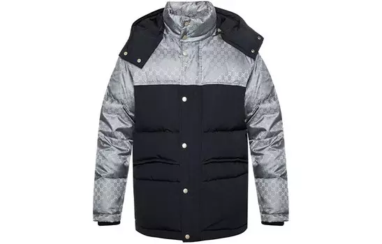 Пуховик мужской серебристый Gucci, цвет Silver