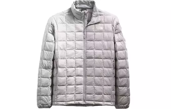 Пуховик мужской серый The North Face, серый