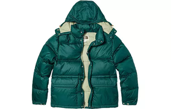 Пуховик мужской зеленый The North Face, зеленый