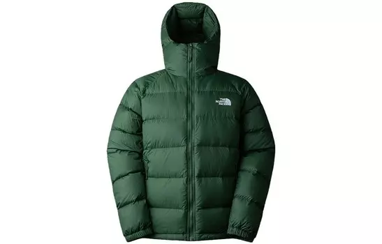 Пуховик мужской зеленый The North Face, зеленый