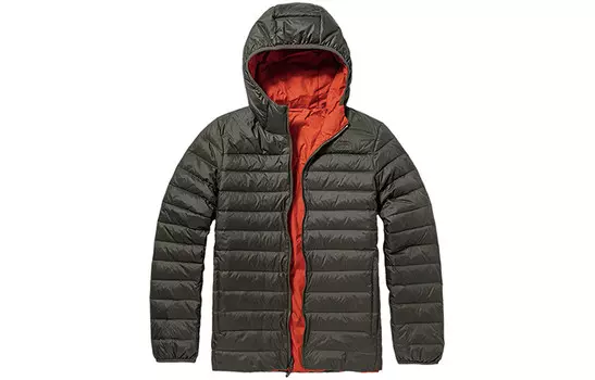 Пуховик мужской зеленый The North Face, зеленый