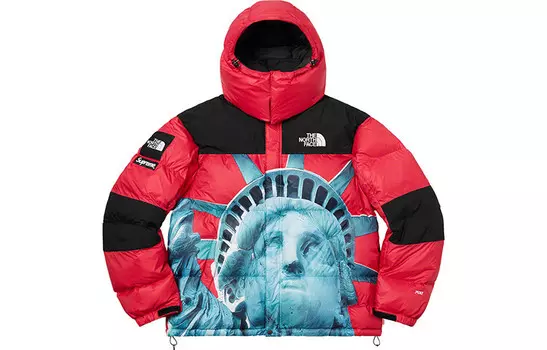 Пуховик North Face X FW19 унисекс Supreme