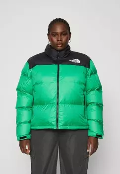 Пуховик PLUS 1996 RETRO NUPTSE JACKET The North Face, цвет optic emerald