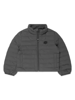 Пуховик с нашивкой-логотипом Emporio Armani Kids, серый