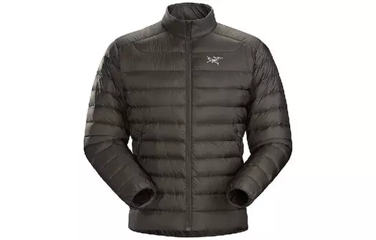 Пуховик серии CERIUM для мужчин Arcteryx, цвет Dynasty